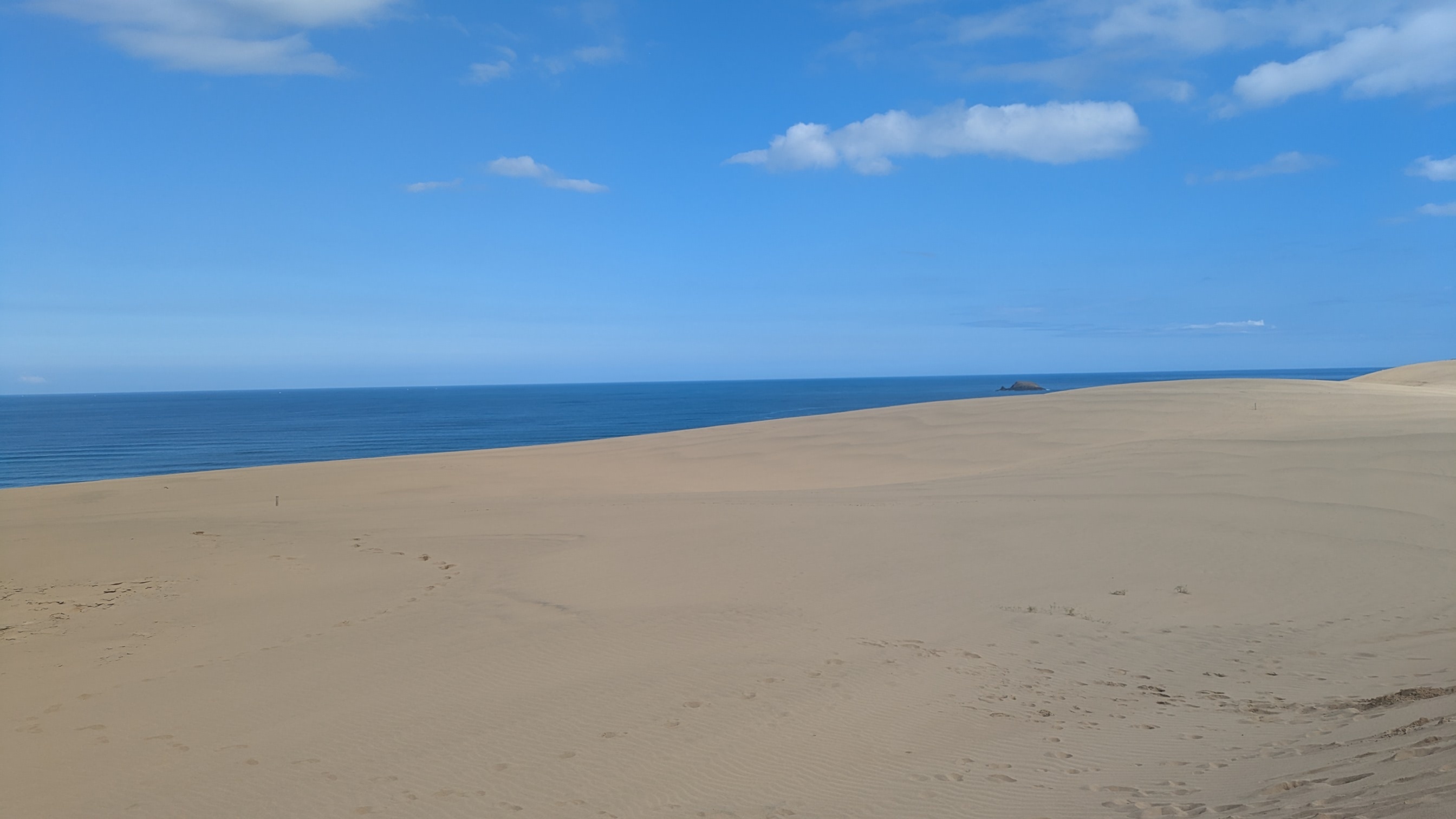 Cover image for -鳥取のための例文集60s