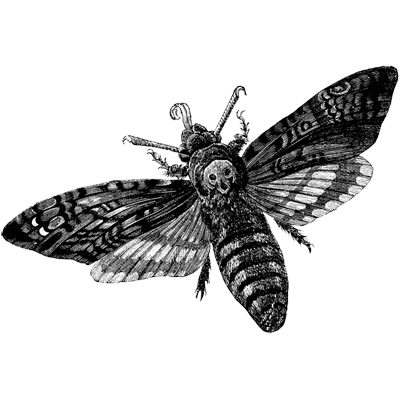 alt_euro profile picture