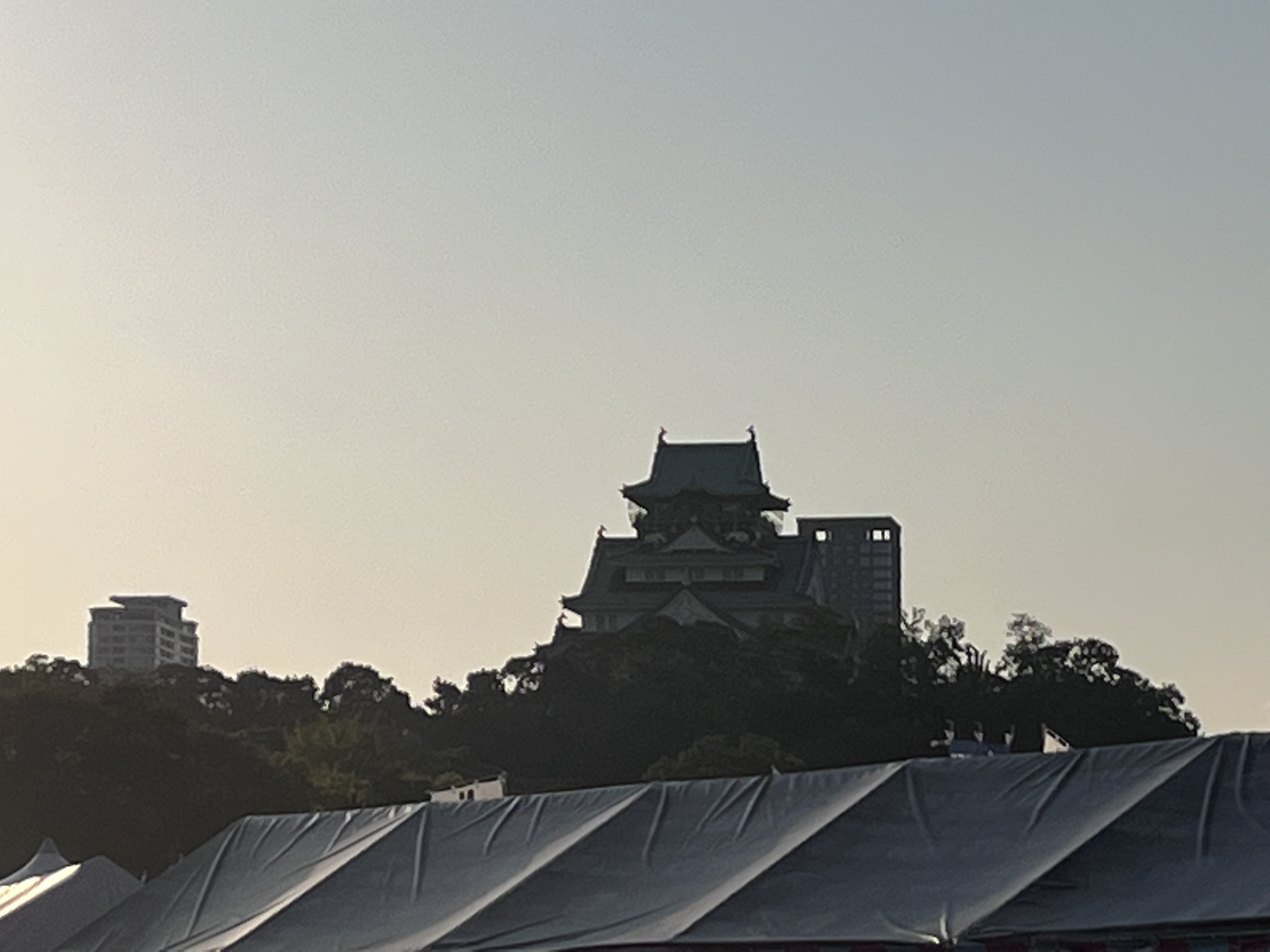 quetam profile image