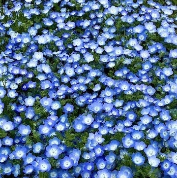 岡祥太郎 profile picture