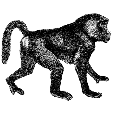 nigirippekohakunushi profile image